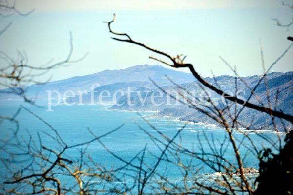 Winery marriage proposal in Getaria
