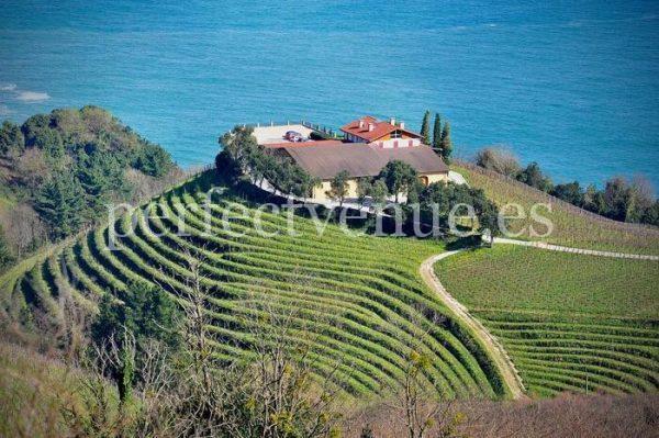 Winery marriage proposal in Getaria