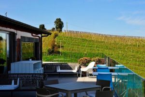 Winery marriage proposal in Getaria