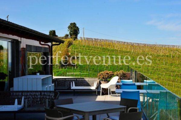 Winery marriage proposal in Getaria