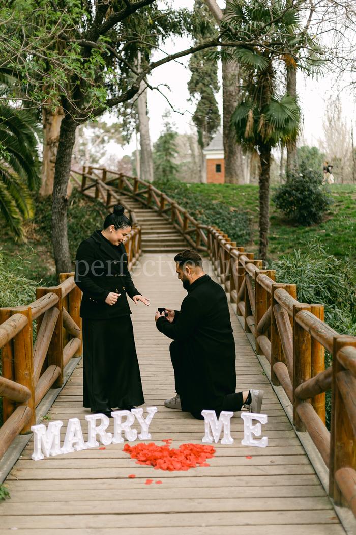 pedida de mano en el Retiro con almendros / Weddings and Events by Natalia Ortiz