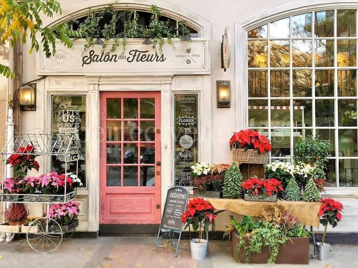 Cafeterías chic de Madrid para pedida de mano / Salon des Fleurs Café