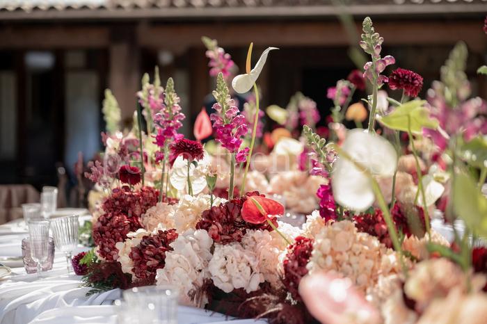 Wedding Shooting/Shooting for Emotions