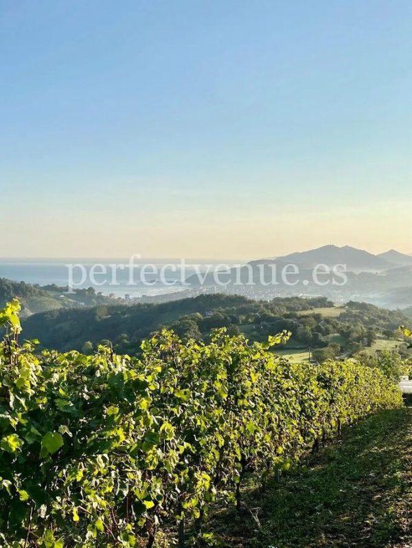 Marriage proposal in a spanish winery / Perfect Venue