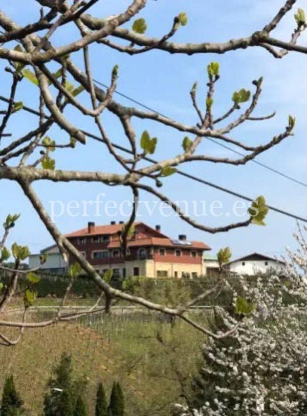 Marriage proposal in a spanish winery / Perfect Venue
