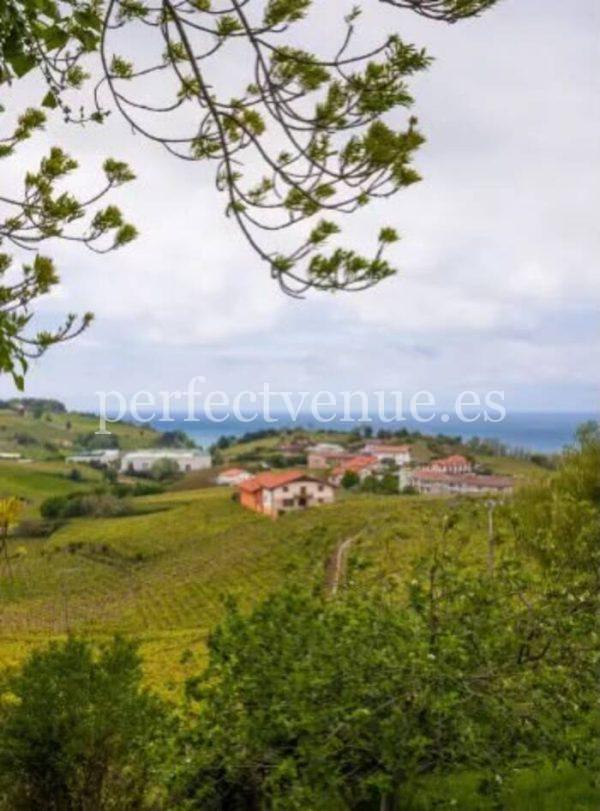 Marriage proposal in a spanish winery / Perfect Venue