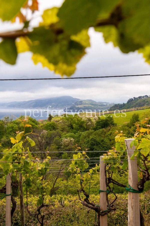 Marriage proposal in a spanish winery / Perfect Venue