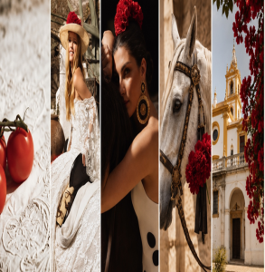 wedding photoshoot for photographers