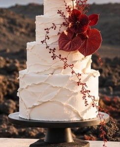 wedding photoshoot for photographers